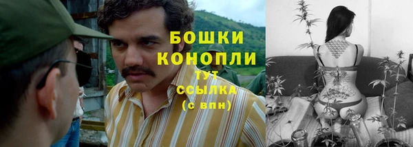 индика Белоозёрский