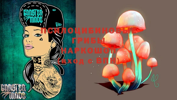 ALPHA PVP Беломорск